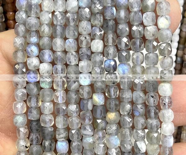 CCU1837 15 inches 4mm faceted cube labradorite gemstone beads