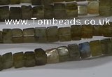 CCU311 15.5 inches 4*4mm cube labradorite beads wholesale