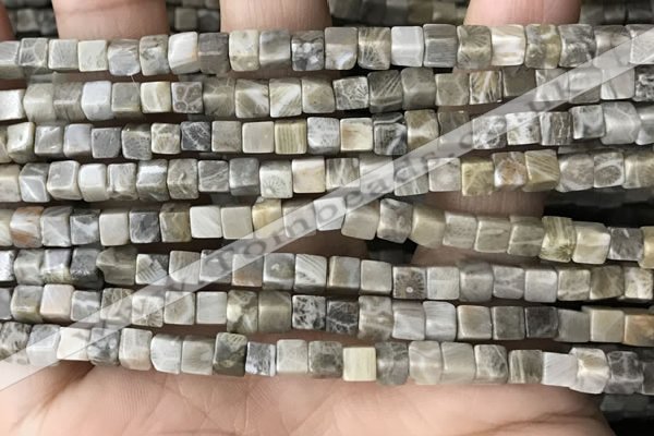 CCU458 15.5 inches 4*4mm cube fossil coral beads wholesale