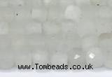 CCU830 15 inches 4mm faceted cube white moonstone beads