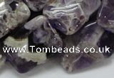 CDA06 15.5 inches 18*25mm rectangle dogtooth amethyst quartz beads
