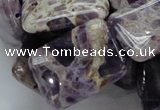 CDA07 15.5 inches 22*30mm rectangle dogtooth amethyst quartz beads