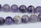 CDA53 15.5 inches 10mm round dogtooth amethyst beads wholesale