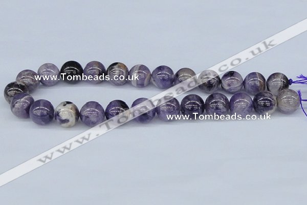 CDA56 15.5 inches 16mm round dogtooth amethyst beads wholesale