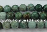 CDB42 15.5 inches 10mm round new dragon blood jasper beads