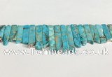 CDE1453 Top drilled 8*15mm - 10*60mm sticks sea sediment jasper beads