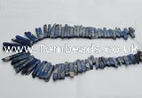 CDE1515 Top drilled 5*15mm - 6*55mm sticks sea sediment jasper beads