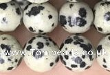 CDM93 15.5 inches 10mm round dalmatian jasper beads wholesale