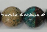 CDS29 15.5 inches 24mm round dyed serpentine jasper beads