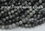 CEE01 15.5 inches 4mm round eagle eye jasper beads wholesale