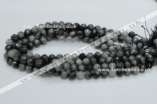 CEE21 15.5 inches 10mm faceted round eagle eye jasper beads wholesale