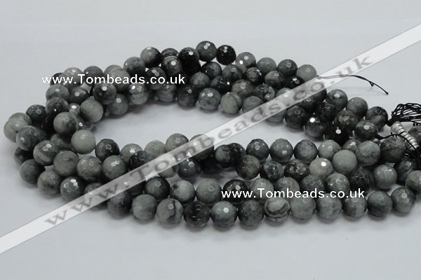 CEE22 15.5 inches 12mm faceted round eagle eye jasper beads wholesale