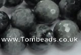 CEE24 15.5 inches 18mm faceted round eagle eye jasper beads wholesale