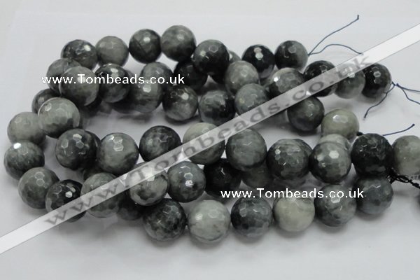 CEE25 15.5 inches 20mm faceted round eagle eye jasper beads wholesale