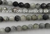 CEE351 15.5 inches 6mm faceted round eagle eye jasper beads