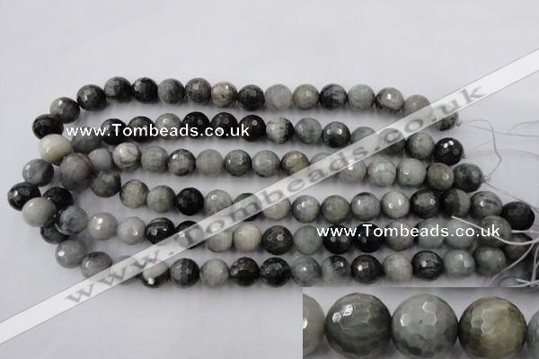 CEE354 15.5 inches 12mm faceted round eagle eye jasper beads