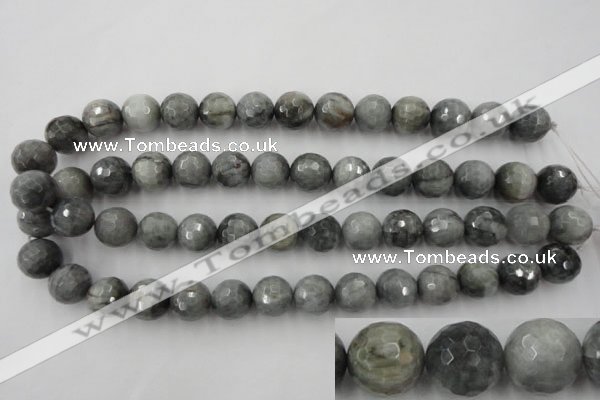 CEE355 15.5 inches 14mm faceted round eagle eye jasper beads