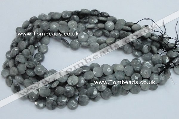 CEE37 15.5 inches 12mm faceted coin eagle eye jasper beads wholesale