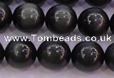 CEE505 15.5 inches 14mm round AAA grade green eagle eye jasper beads