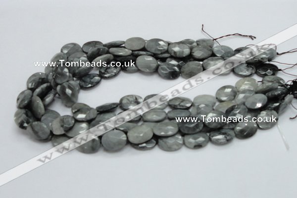 CEE53 15.5 inches 12*16mm faceted oval eagle eye jasper beads