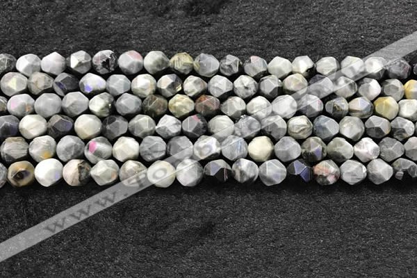 CEE530 15.5 inches 6mm faceted nuggets eagle eye jasper beads