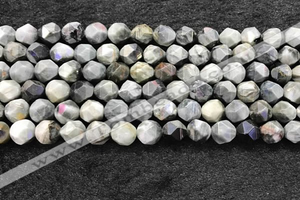 CEE532 15.5 inches 10mm faceted nuggets eagle eye jasper beads