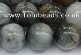 CEE537 15.5 inches 10mm round eagle eye jasper beads wholesale