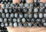 CEE543 15.5 inches 10mm round eagle eye jasper gemstone beads