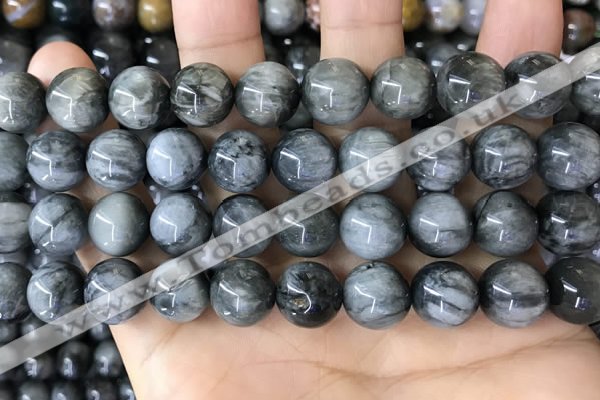 CEE544 15.5 inches 12mm round eagle eye jasper gemstone beads