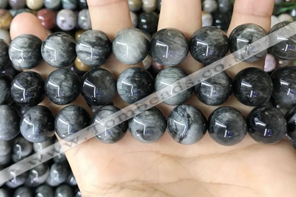 CEE545 15.5 inches 14mm round eagle eye jasper gemstone beads