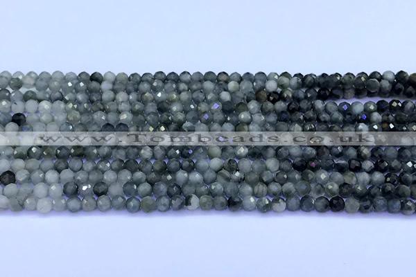 CEE561 15 inches 3mm faceted round eagle eye jasper beads