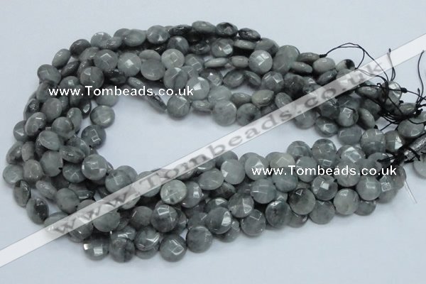 CEE57 15.5 inches 10mm faceted coin eagle eye jasper beads