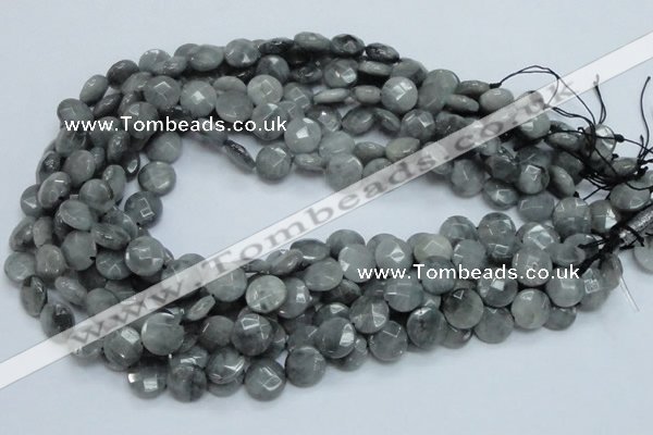 CEE58 15.5 inches 14mm faceted coin eagle eye jasper beads