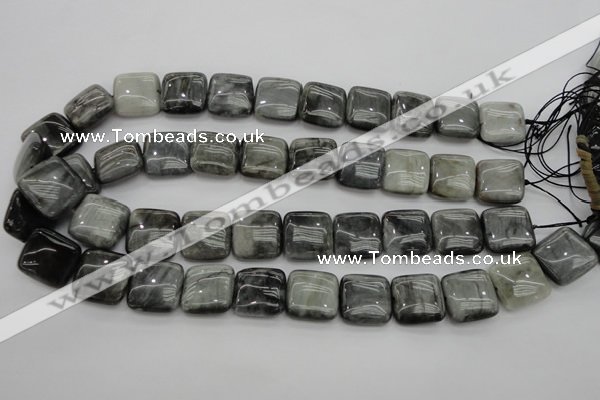 CEE78 15.5 inches 18*18mm square eagle eye jasper beads