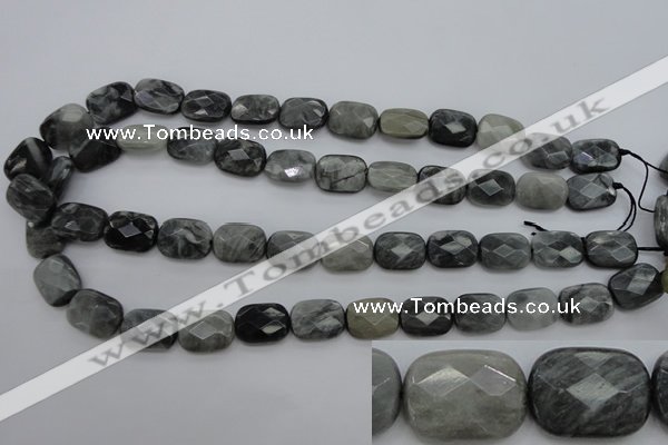 CEE81 15.5 inches 12*16mm faceted rectangle eagle eye jasper beads