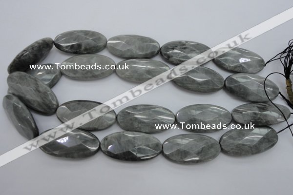 CEE85 15.5 inches 20*40mm faceted oval eagle eye jasper beads