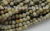 CFA01 15.5 inches 4mm round chrysanthemum agate gemstone beads