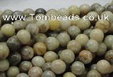 CFA02 15.5 inches 6mm round chrysanthemum agate gemstone beads