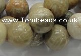 CFA04 15.5 inches 16mm round chrysanthemum agate gemstone beads