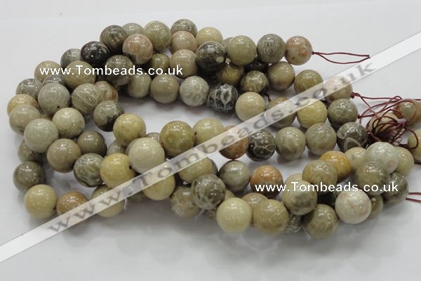 CFA04 15.5 inches 16mm round chrysanthemum agate gemstone beads