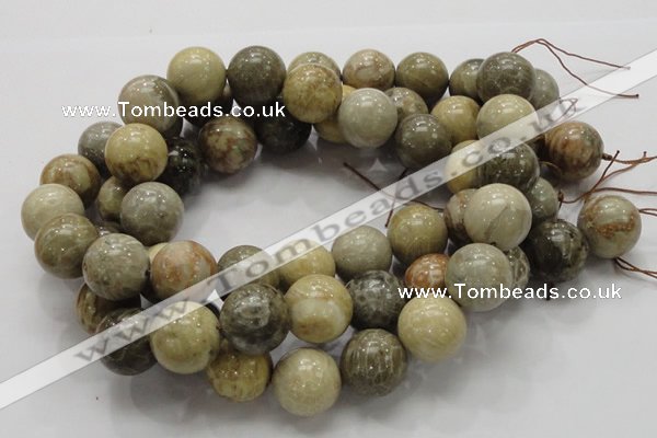 CFA05 15.5 inches 20mm round chrysanthemum agate gemstone beads