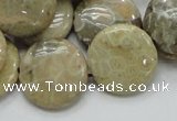 CFA08 15.5 inches 20mm flat round chrysanthemum agate gemstone beads