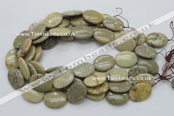 CFA12 15.5 inches 22*30mm oval chrysanthemum agate gemstone beads