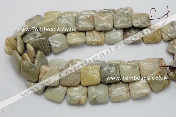 CFA18 15.5 inches 25*25mm square chrysanthemum agate beads