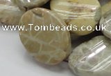 CFA21 15.5 inches 22*30mm twisted oval chrysanthemum agate beads