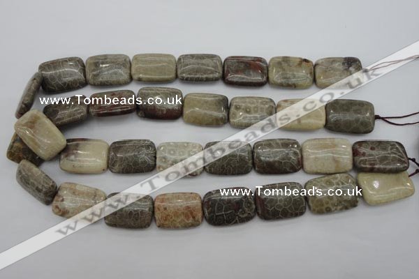 CFA224 15.5 inches 18*25mm rectangle chrysanthemum agate beads