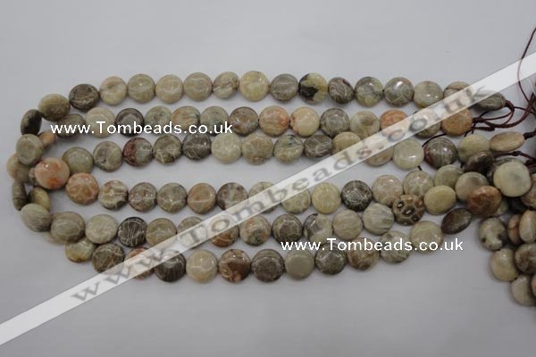 CFA228 15.5 inches 12mm flat round chrysanthemum agate beads