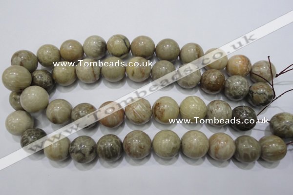 CFA27 15.5 inches 18mm round chrysanthemum agate gemstone beads