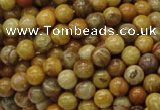 CFA31 15.5 inches 6mm round yellow chrysanthemum agate beads