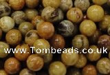 CFA32 15.5 inches 8mm round yellow chrysanthemum agate beads